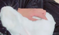 癒し