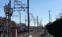降らないね