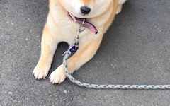 あの…