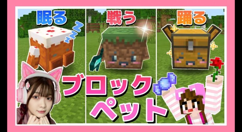 ブロックをペットにしたら天才すぎた マイクラ マインクラフト Minecraft 女性ゲーム実況者 Tamachan Youtube マインクラフト情報局