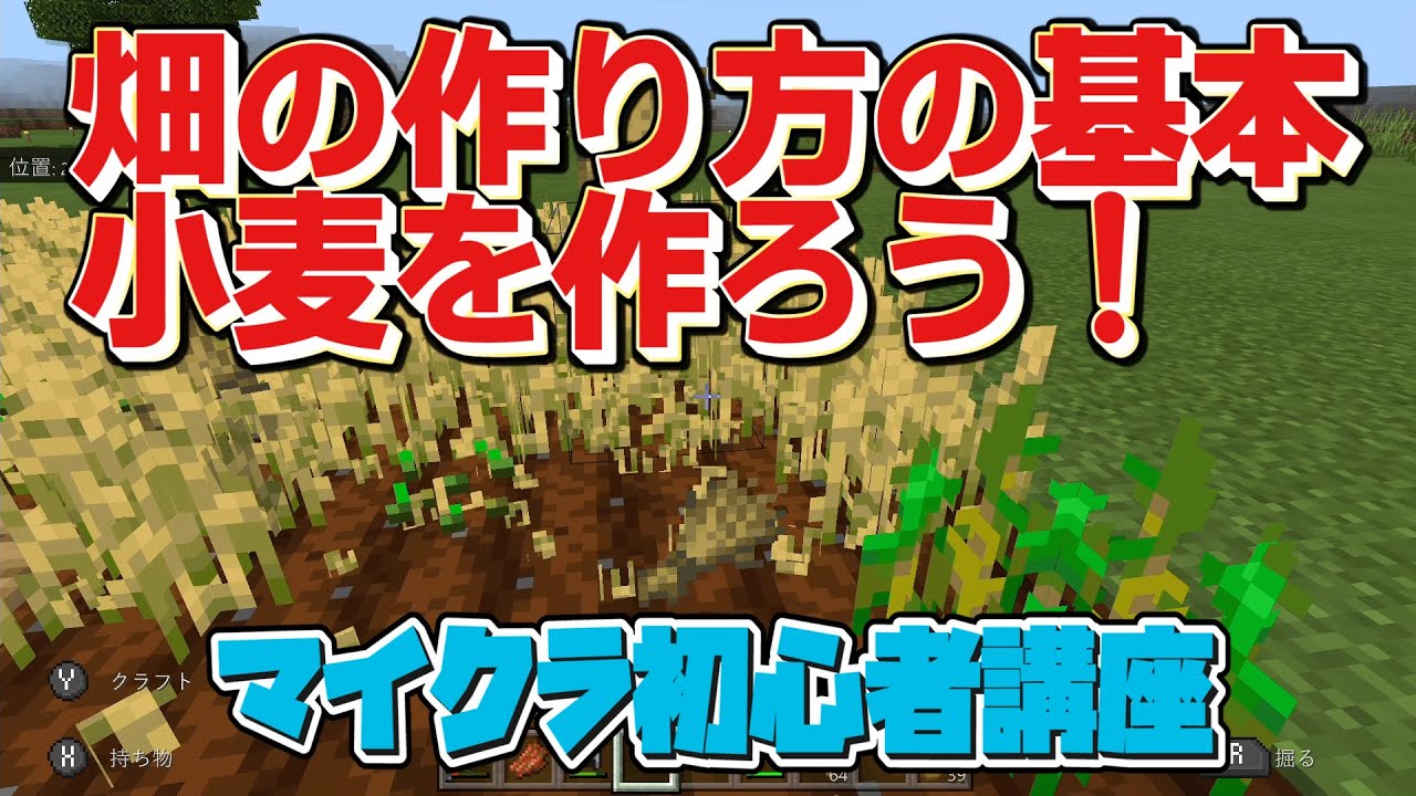 マイクラ初心者講座 畑の作り方の基本 小麦を育てて食料確保 農業の基礎 色々使える必須の作物 マインクラフト Minecraft スイッチ 統合版 Be Pe スマホ Youtubeマインクラフト情報局