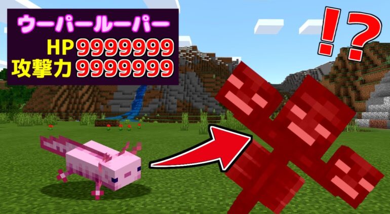 マイクラ ウーパールーパーが最強すぎるマインクラフト ゆっくり実況 Youtubeマインクラフト情報局