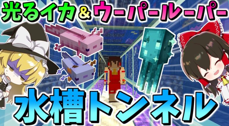 マイクラ ウーパールーパー 光るイカの水槽トンネルを作ろうとした結果事件発生 ゆっくり実況 マインクラフト Minecraft Youtubeマインクラフト情報局