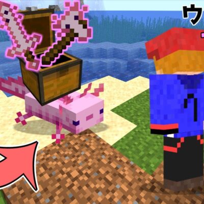 知ってた ウサギの皮とバンドルについて Eng マインクラフト 雑学 サバイバル 小技 豆知識 初心者講座 Pe Switch Xbox Ps4 Win10 Java Youtubeマインクラフト情報局