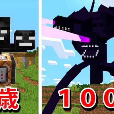 日本語 Youtubeマインクラフト情報局