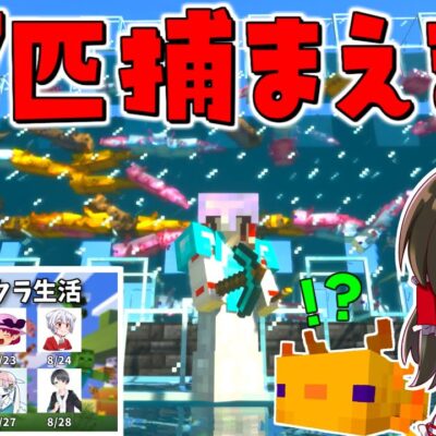 初心者 Vs プロ セキュリティタワー作り対決 まいくら マインクラフト マイクラ Youtubeマインクラフト情報局