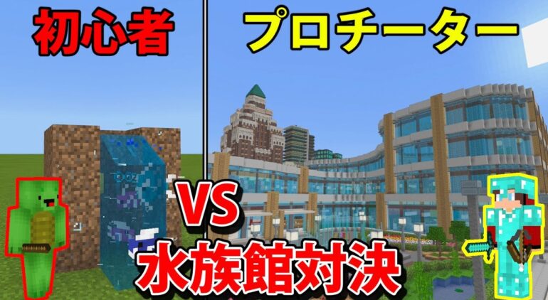 水族館作り対決 イルカショー 人食いサメ マインクラフト Youtubeマインクラフト情報局