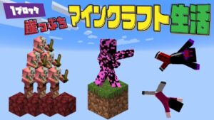 マイクラ リアルすぎる世界でサバイバルしたらヤバすぎた マインクラフト Youtubeマインクラフト情報局