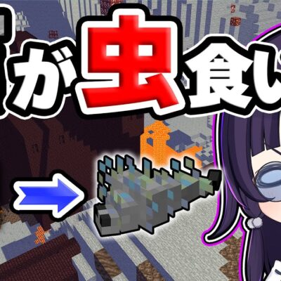 久しぶりのマインクラフトゲーム実況 Minecraft シード値は ３７８ Youtubeマインクラフト情報局