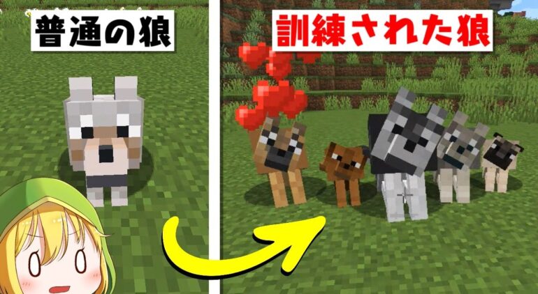 自分だけの最強のオオカミを育てる マインクラフト Youtubeマインクラフト情報局